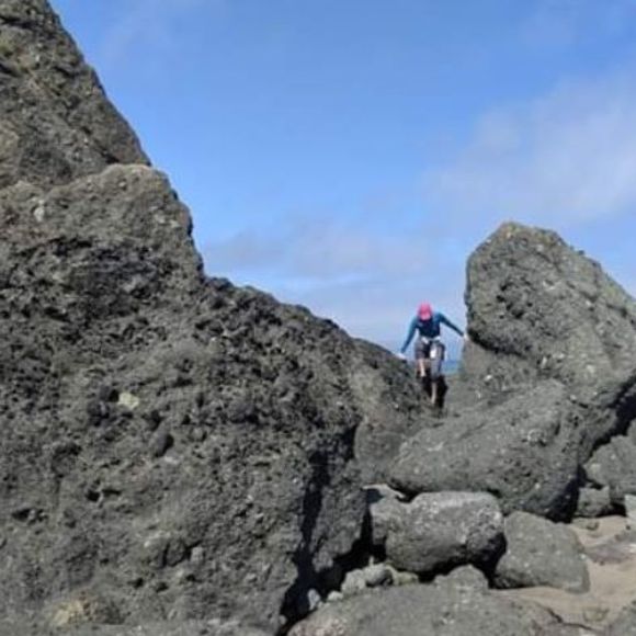 Meet your Posher, Rosa - Picture 1 of 1